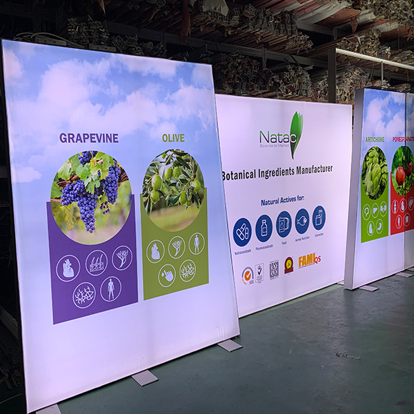 10'x20' trade show display Free Standing Trade Show Booth Backlit Wall for Exhibition backdrop